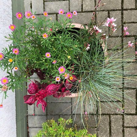 Apartament Juros Brizas Połąga Zewnętrze zdjęcie