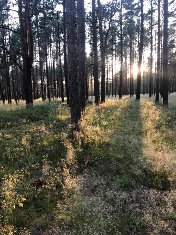 Apartament Juros Brizas Połąga Zewnętrze zdjęcie